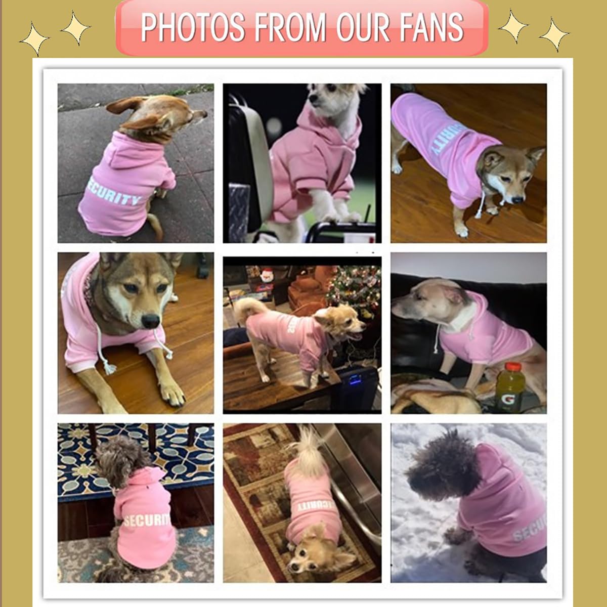 Trudz PET security dog hoodie worn by dogs during outings for warmth and comfort.