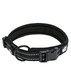 TRUE LOVE dog collar with reflective Duraflex buckle for secure walks.