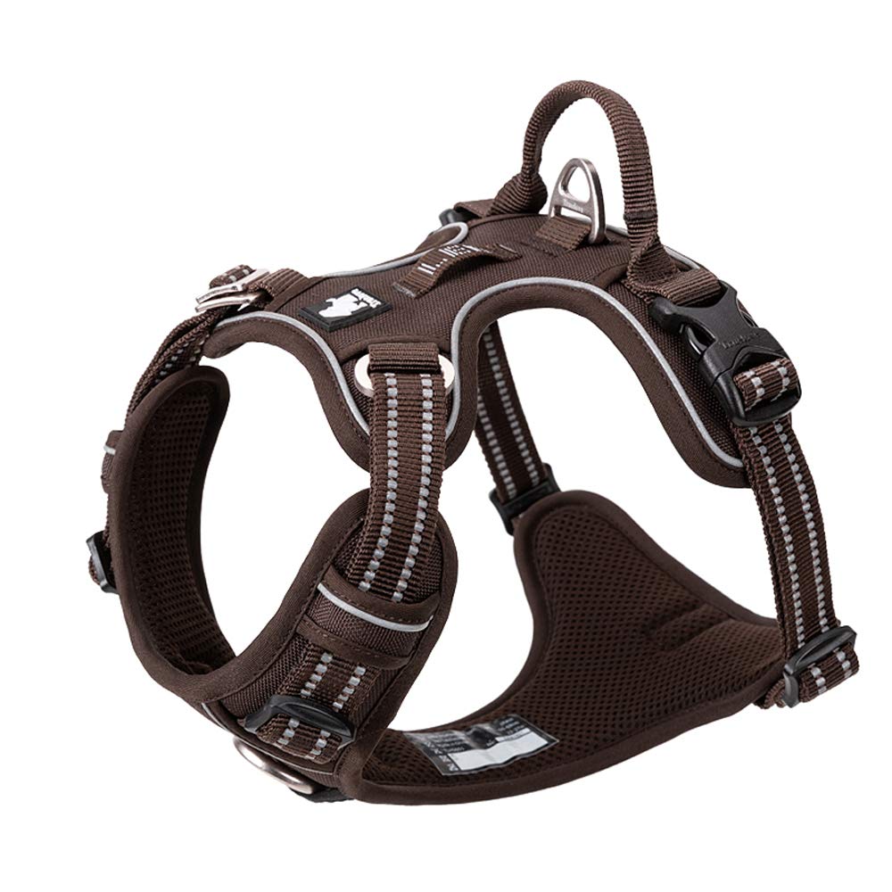 TRUE LOVE dog harness back-attachment point for safer, controlled walks