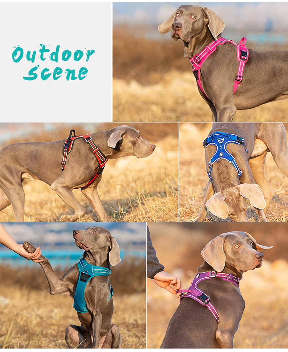 TRUE LOVE dog harness back handle supports better handling and attachment of safety accessories.