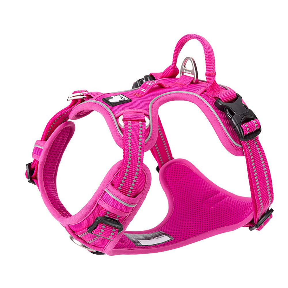 TRUE LOVE dog harness front view with fuchsia color and no-pull design for simple on/off.