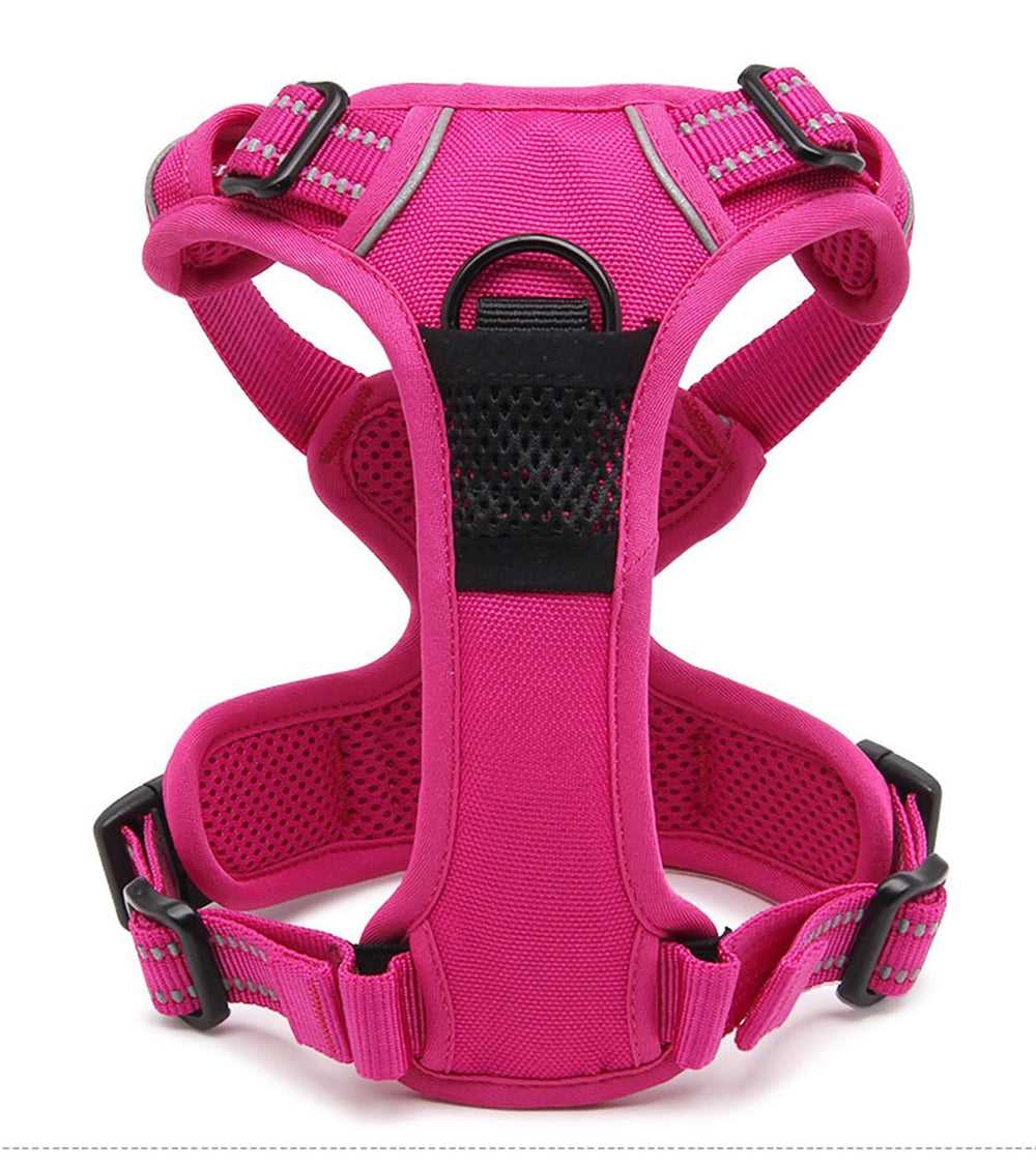 TRUE LOVE TLH5651 fuchsia two-attachment-points close-up underscores training versatility.