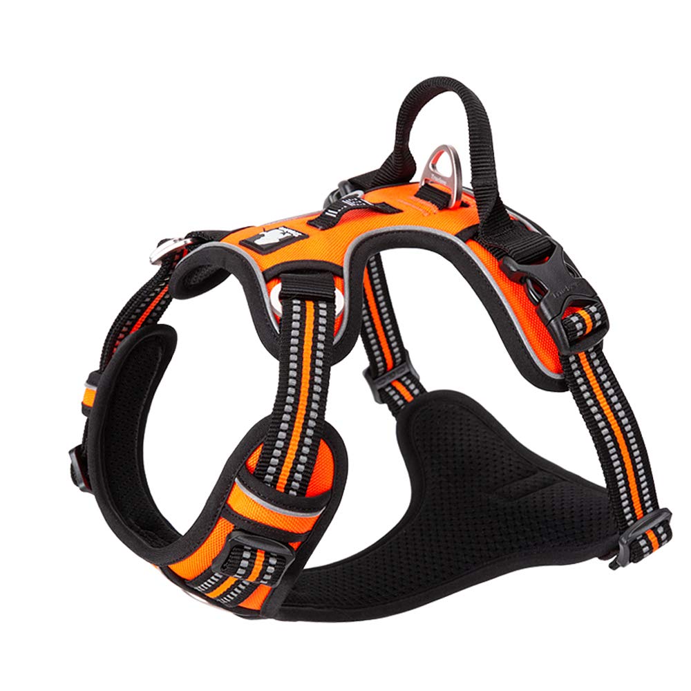 TRUE LOVE TLH56512 orange no-pull harness on dog for easy on-off comfort.