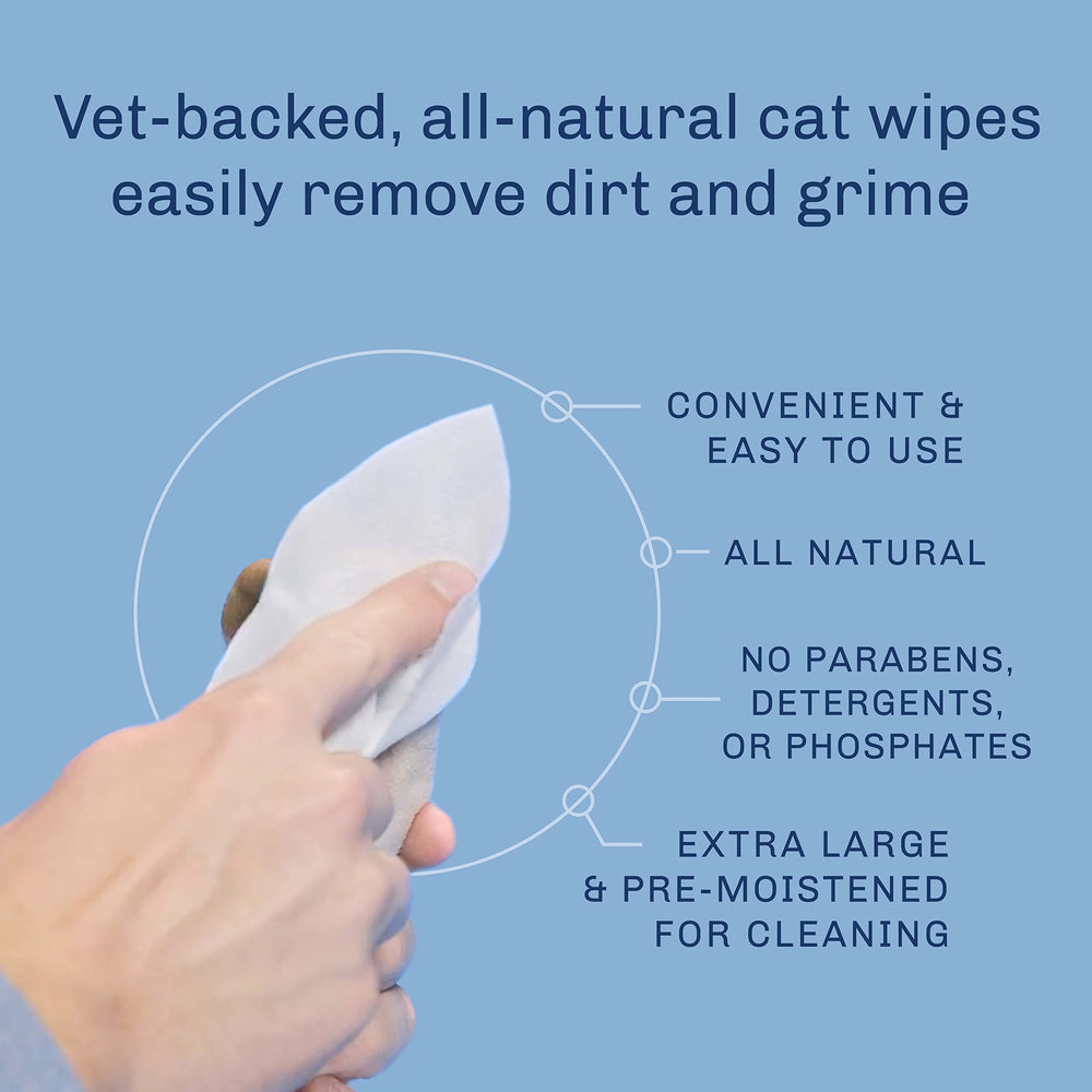 TrueBlue Milk & Honeysuckle Fresh Fur Wipes kittens image suggests safe, simple grooming for young cats.
