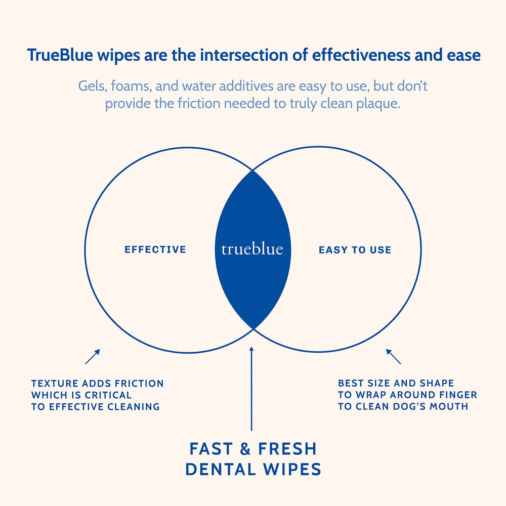 TrueBlue professional grooming session with dog wipes.