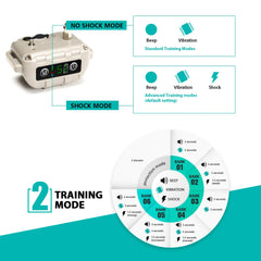 Trulrox bark collar adjustable nylon band demonstrates a versatile fit.