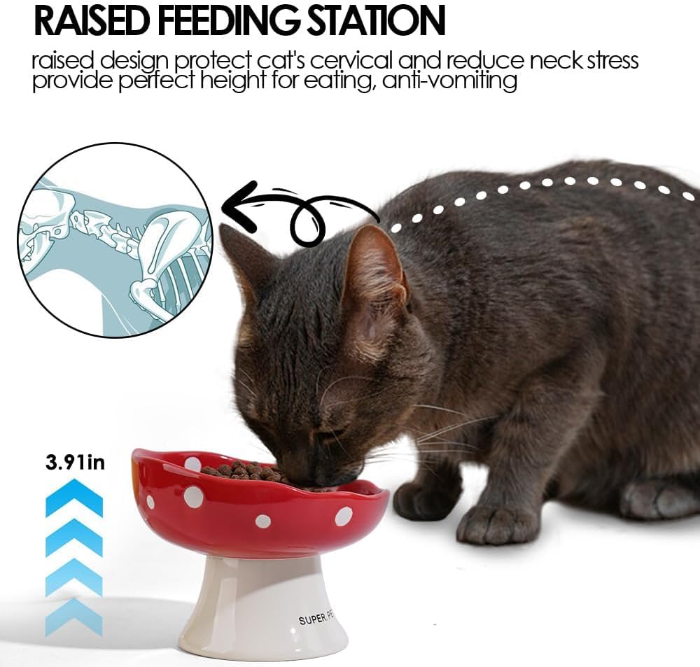 TRUNDISAN dishwasher-safe cat bowl simplifies post-meal cleaning.