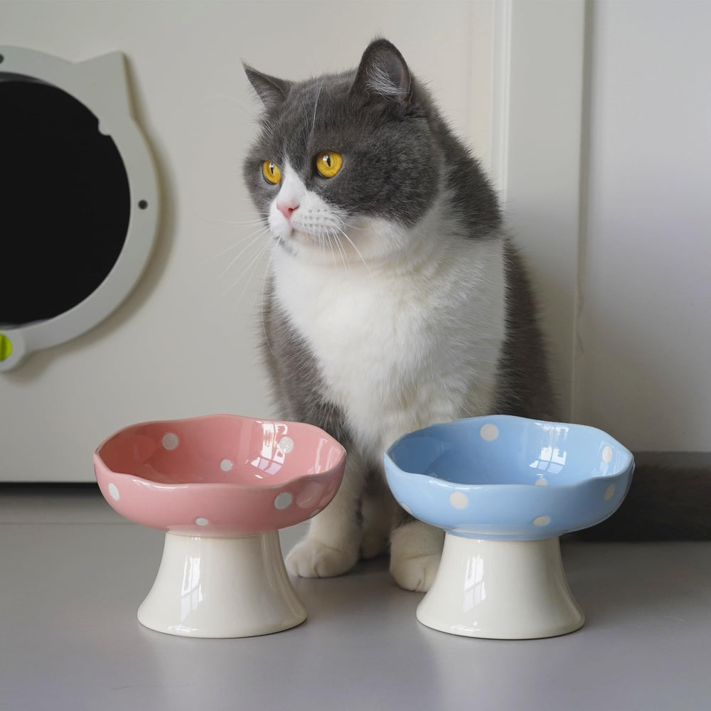 TRUNDISAN mushroom design adds playful decor to cat dining space.