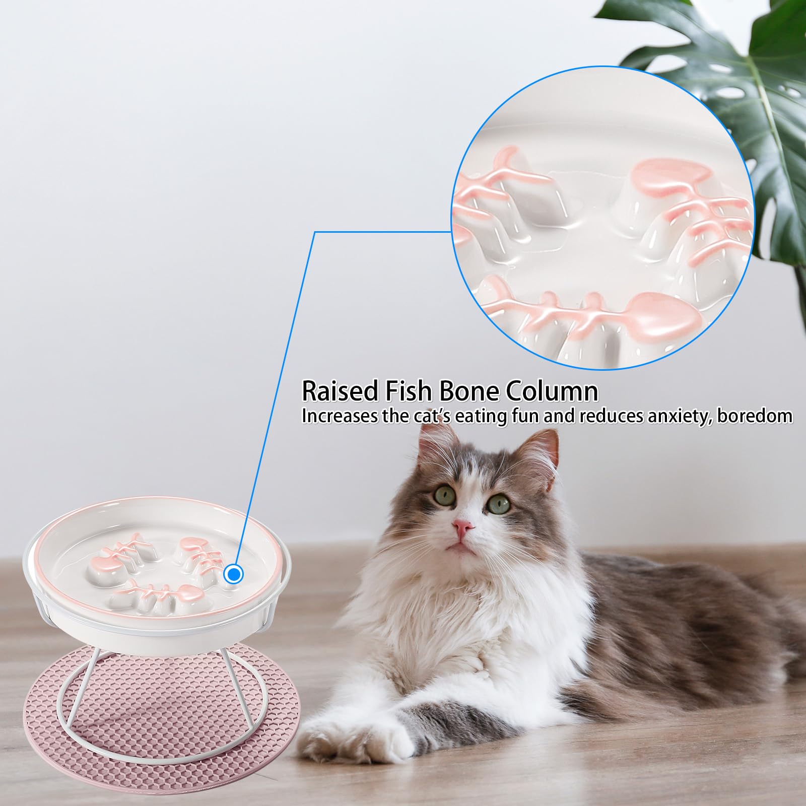 TRUNDISAN whisker-friendly bowl side angle protects whiskers during meals.