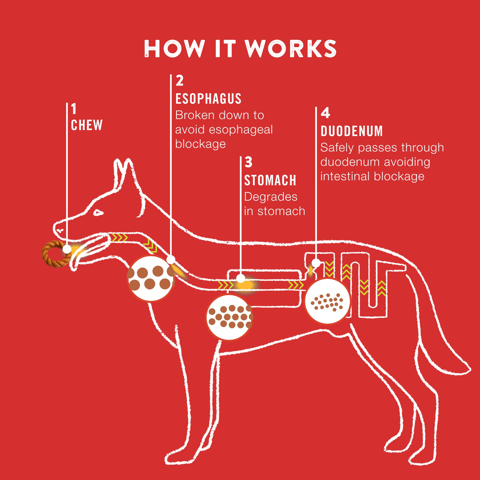 TRURANCH Apple Cinnamon Collagen Wreath chew close-up, dense texture for satisfying bites.