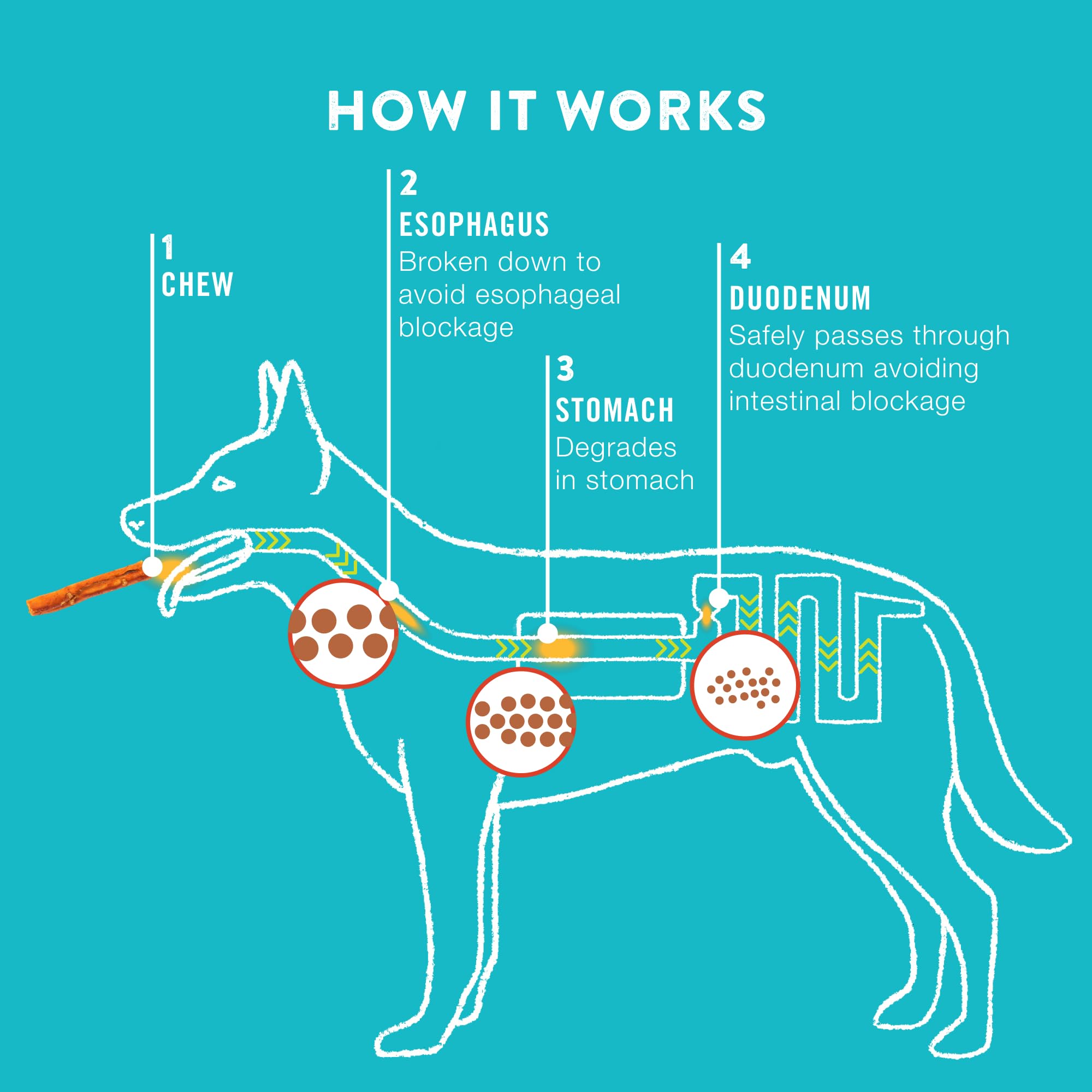 TRURANCH Collagen Rolls peanut butter flavor closeup signals flavorful alternative for dogs