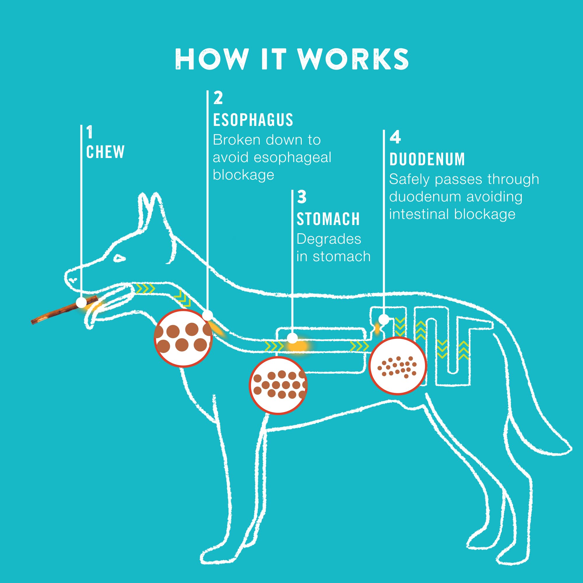 TRURANCH collagen sticks rawhide-free label visible for pet parents seeking safe chews