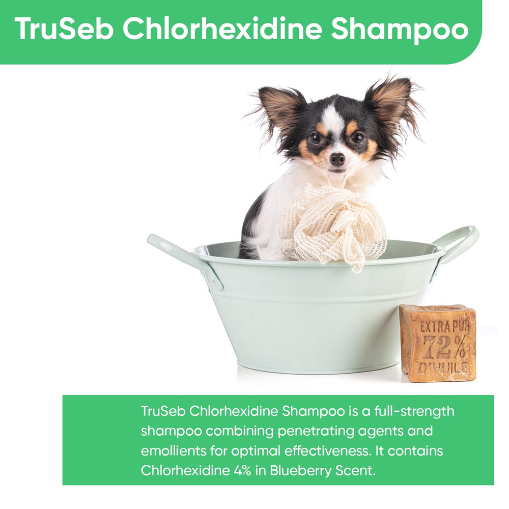 Truseb foamy lather on a dog's coat during bath.