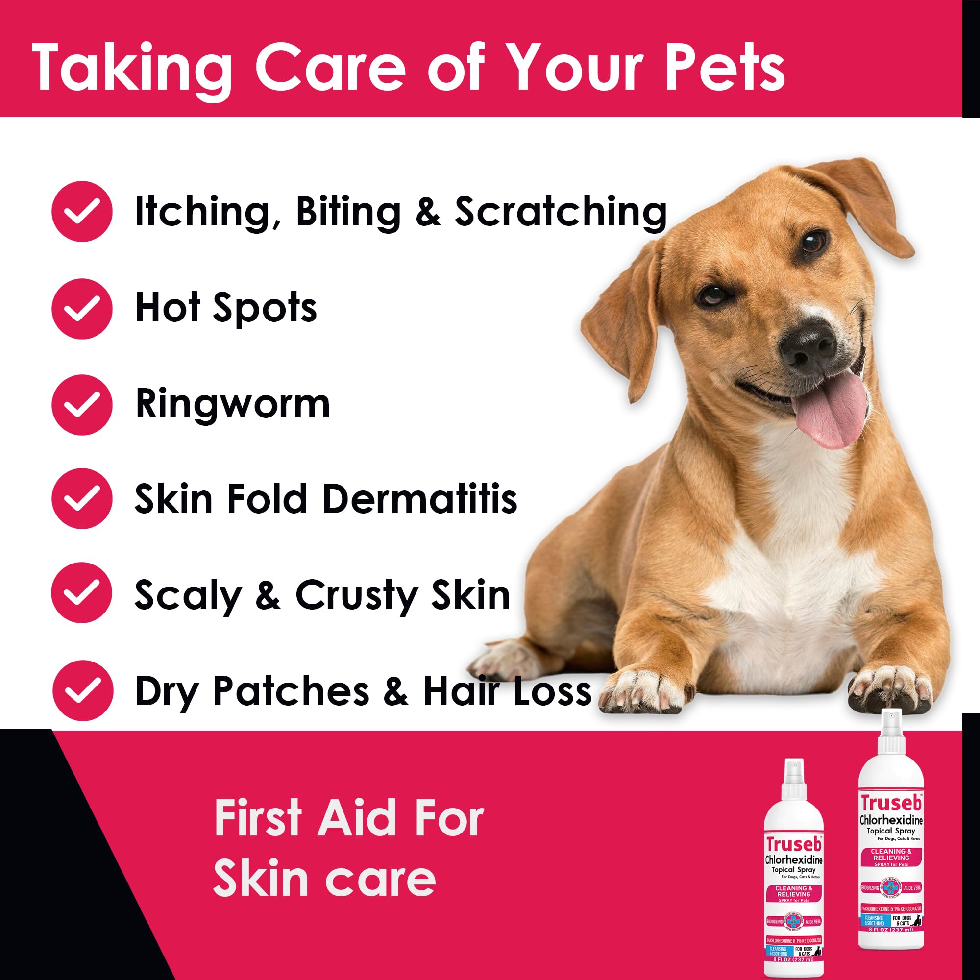 Truseb paws and underarms cleaning image for folds and groin care.
