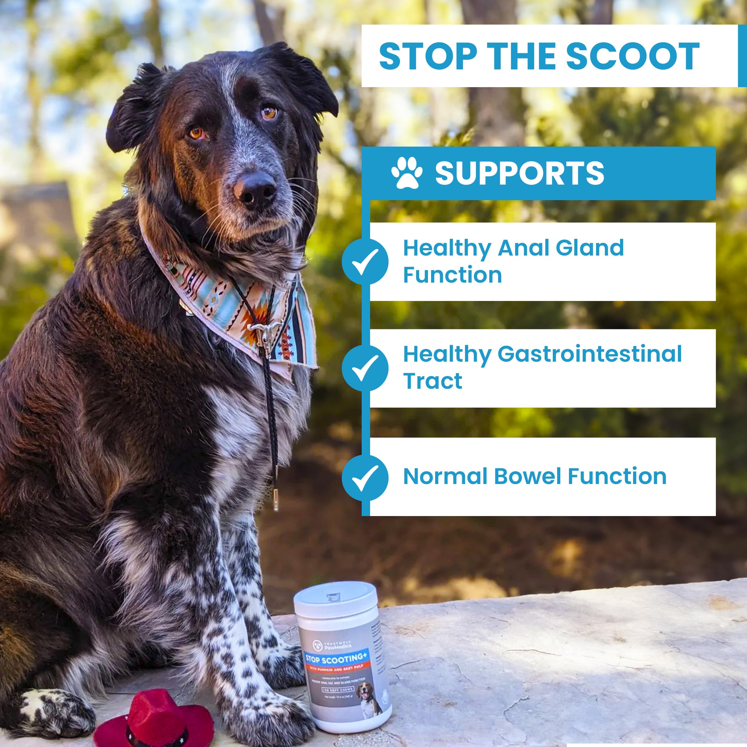 Trustwell PawMedica chews in bowl illustrates tasty, fiber-based digestive support for dogs.