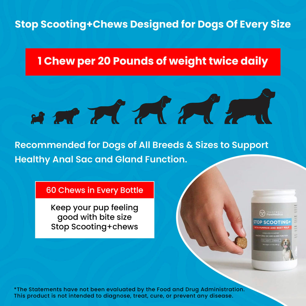 Trustwell PawMedica pumpkin-based fiber supports everyday canine digestion and wellbeing.