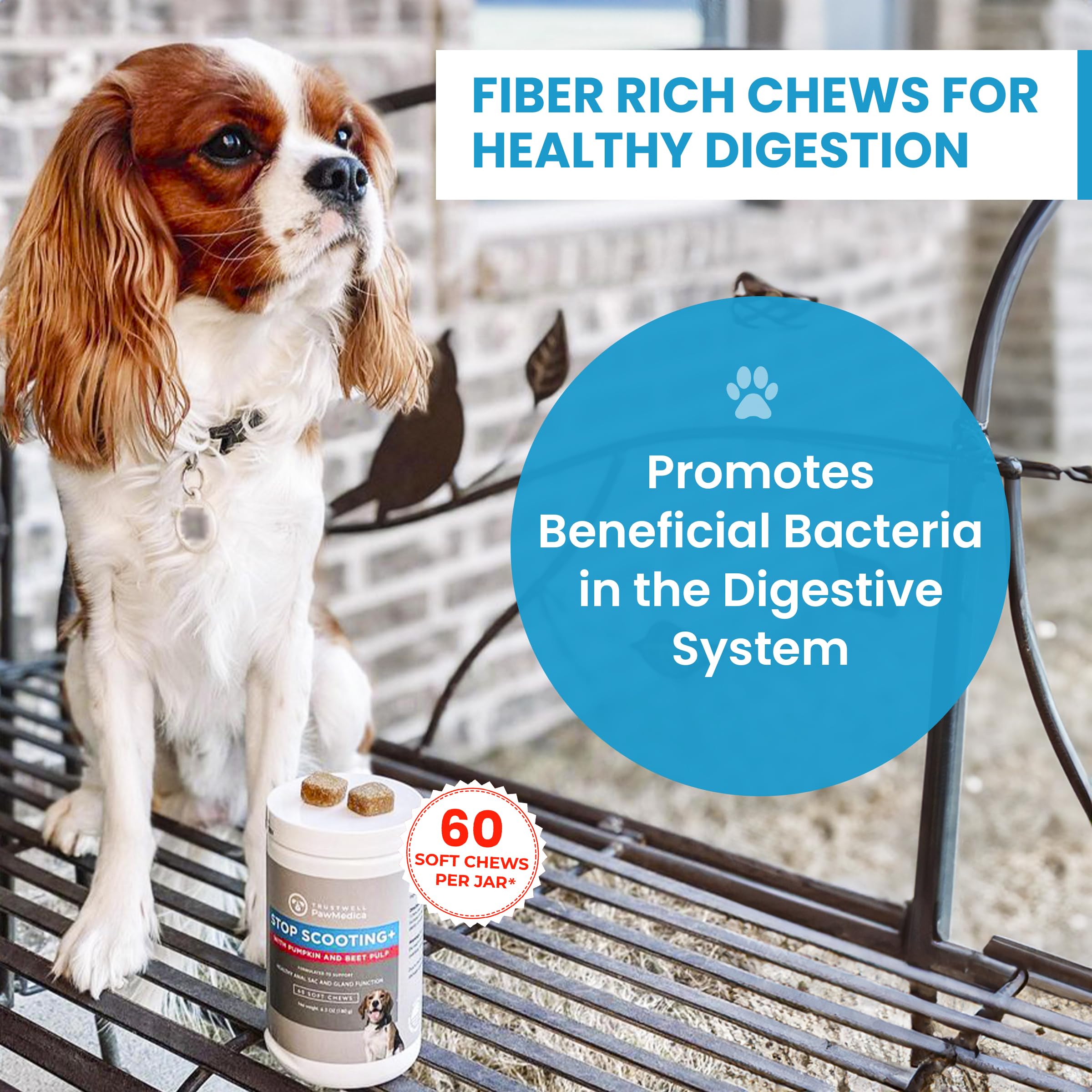 Trustwell PawMedica pumpkin-infused chews close-up highlighting natural ingredients and texture.