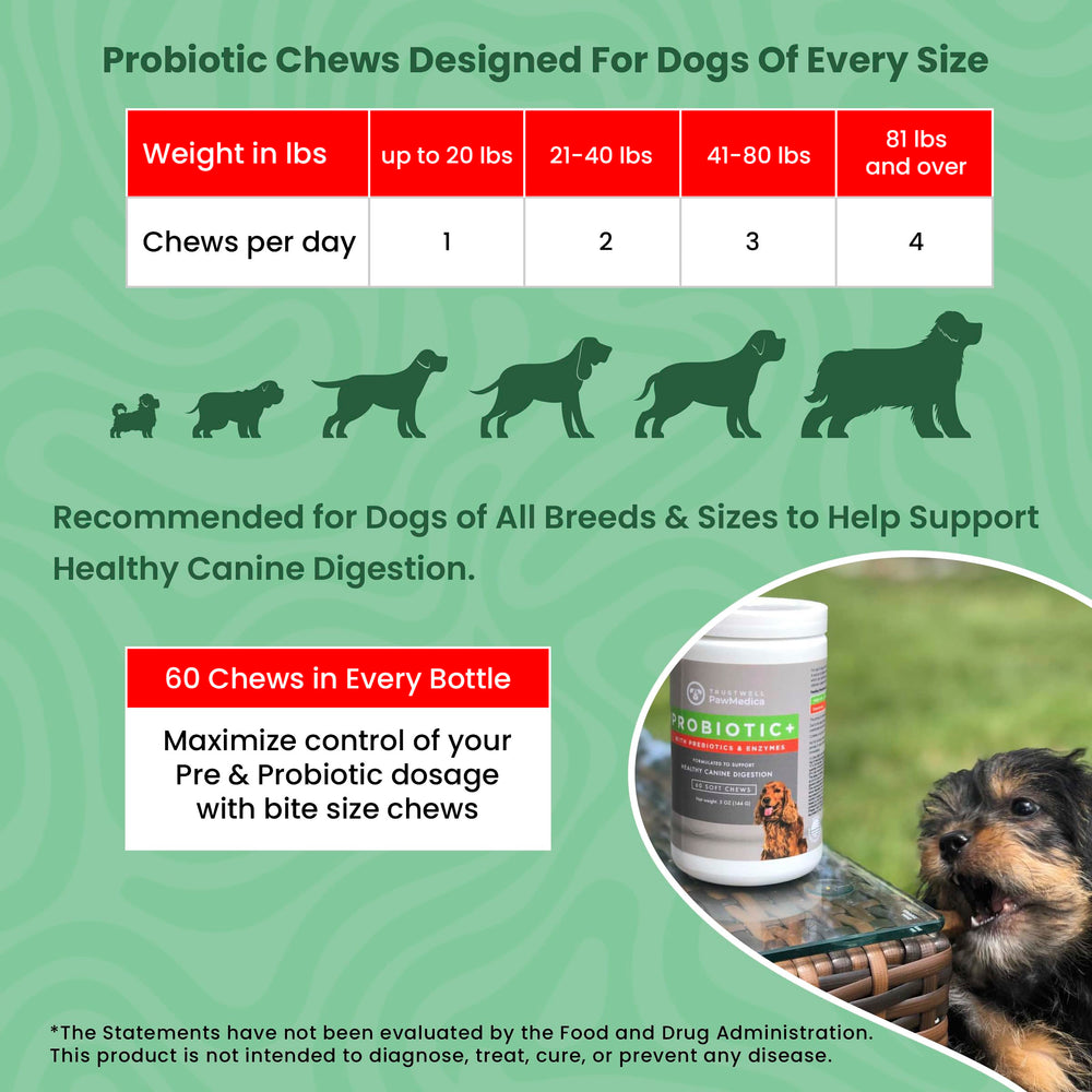 Trustwell PawMedica probiotic chews on a dog’s paw illustrate daily gut support