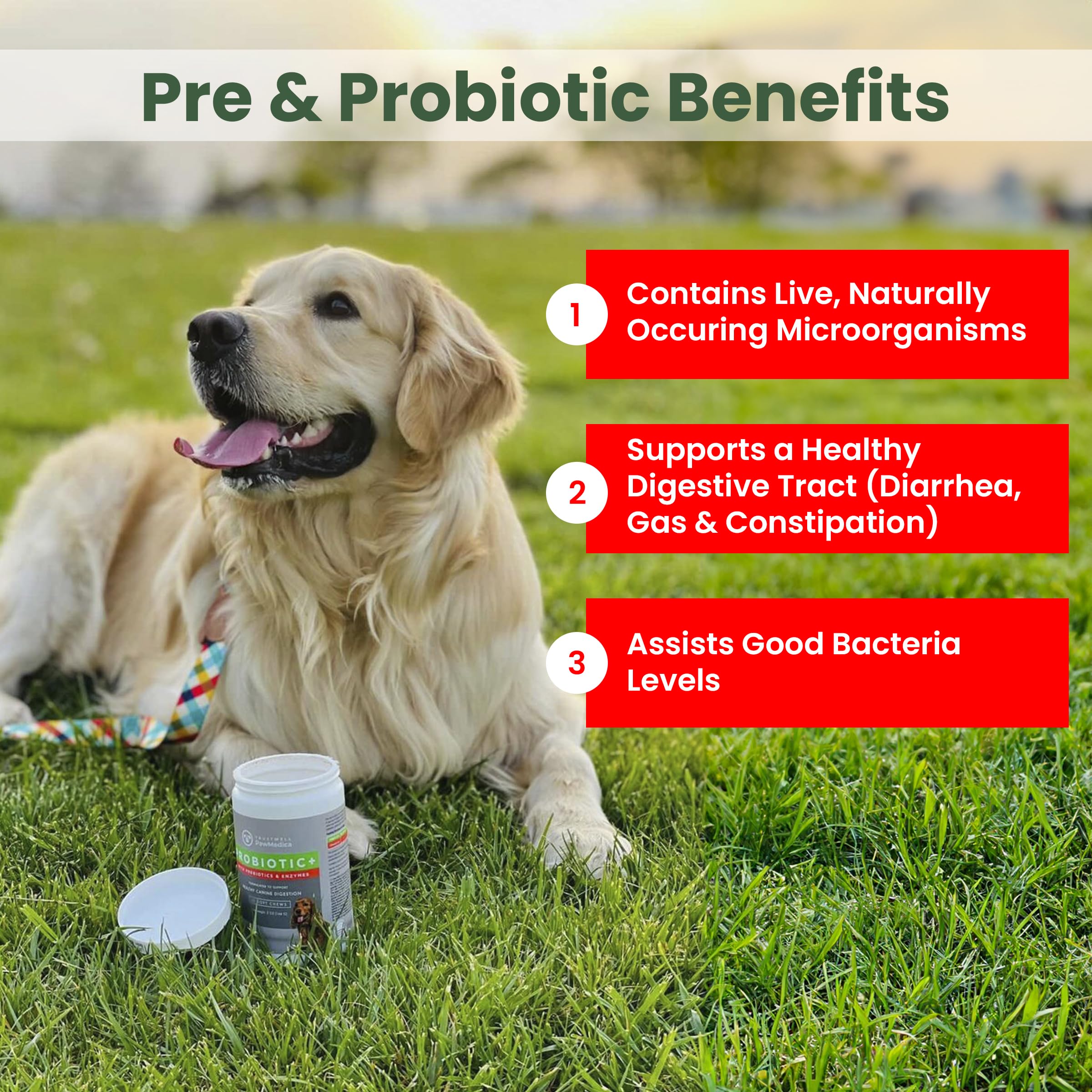 Trustwell PawMedica probiotic chews pouch offers on-the-go gut health with prebiotics
