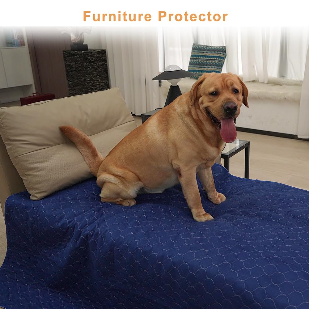 Trusupetta puppy leakage protection highlights containment and easy cleanup