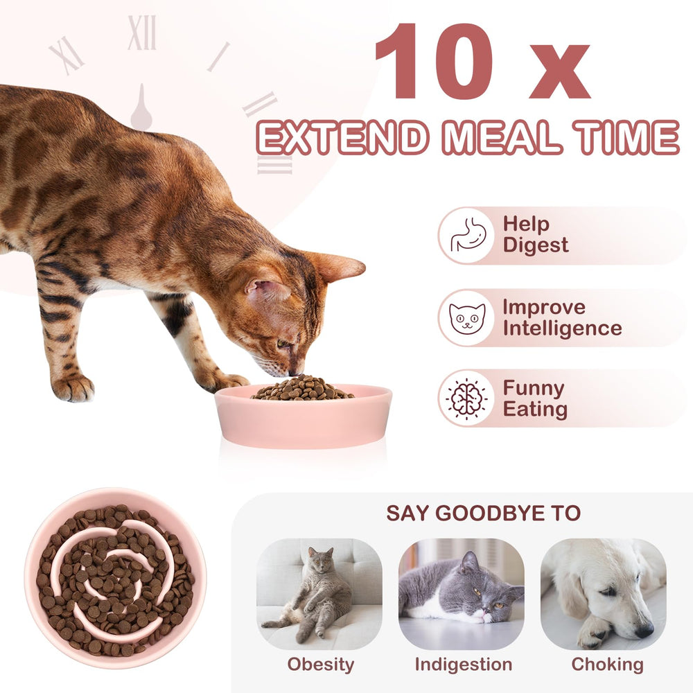 TRUVIC ceramic slow-feeder cat bowl with rose-petal maze promotes mindful eating