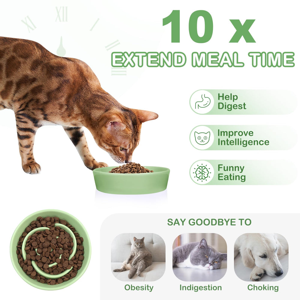 TRUVIC green glossy ceramic slow feeder dog bowl reduces mess