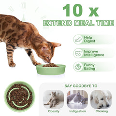 TRUVIC green glossy ceramic slow feeder dog bowl reduces mess