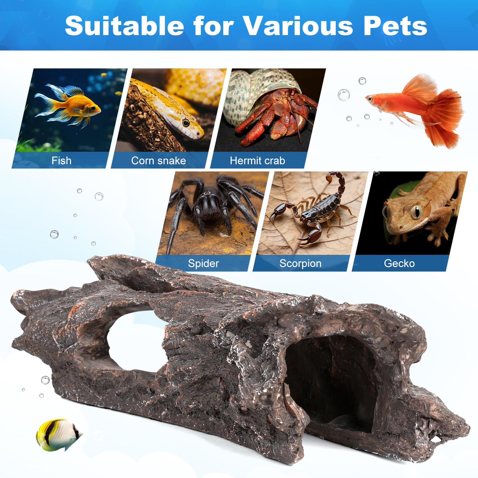TRUVIC betta hideout offers secure shelter and calm retreat for betta fish.