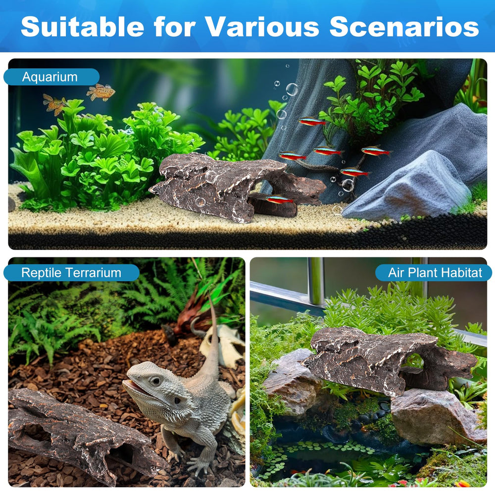 TRUVIC multi-pet habitat supports bettas, guppies, hermit crabs, and geckos.