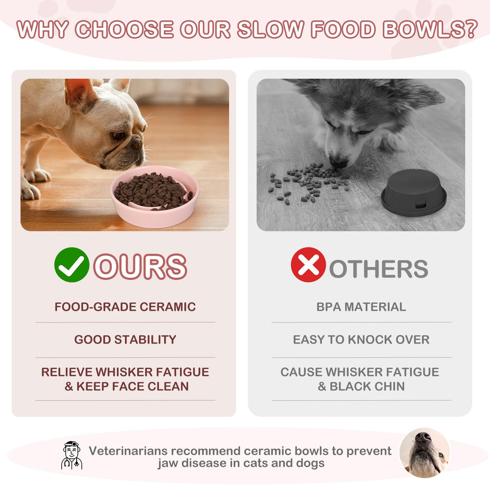 TRUVIC pink glazed dog bowl highlights non-porous ceramic for clean mouths