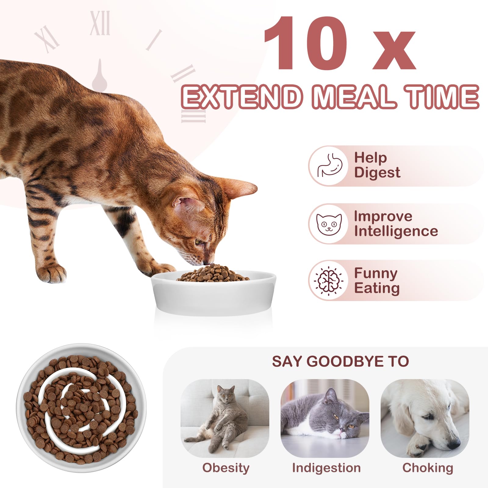 TRUVIC rose-petal maze design ceramic bowl promotes mindful eating for pets
