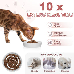 TRUVIC rose-petal maze design ceramic bowl promotes mindful eating for pets
