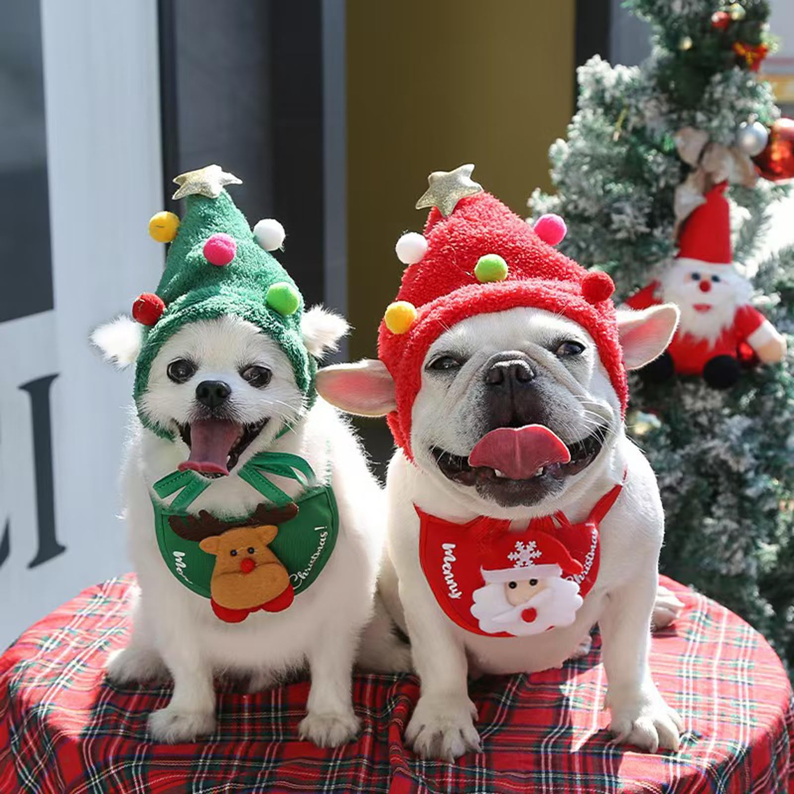 TS-MAYKA dog Christmas outfit elevates home celebrations and party photos.