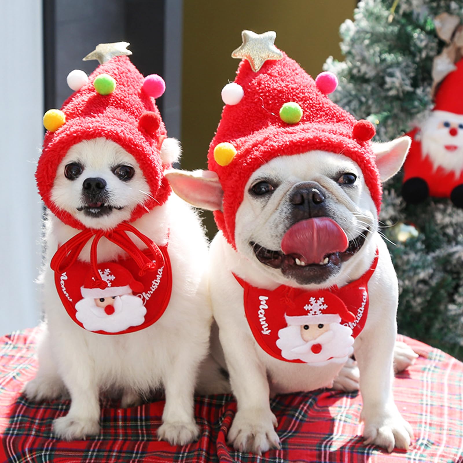 TS-MAYKA pet Xmas decoration gift idea for pet lovers and families.