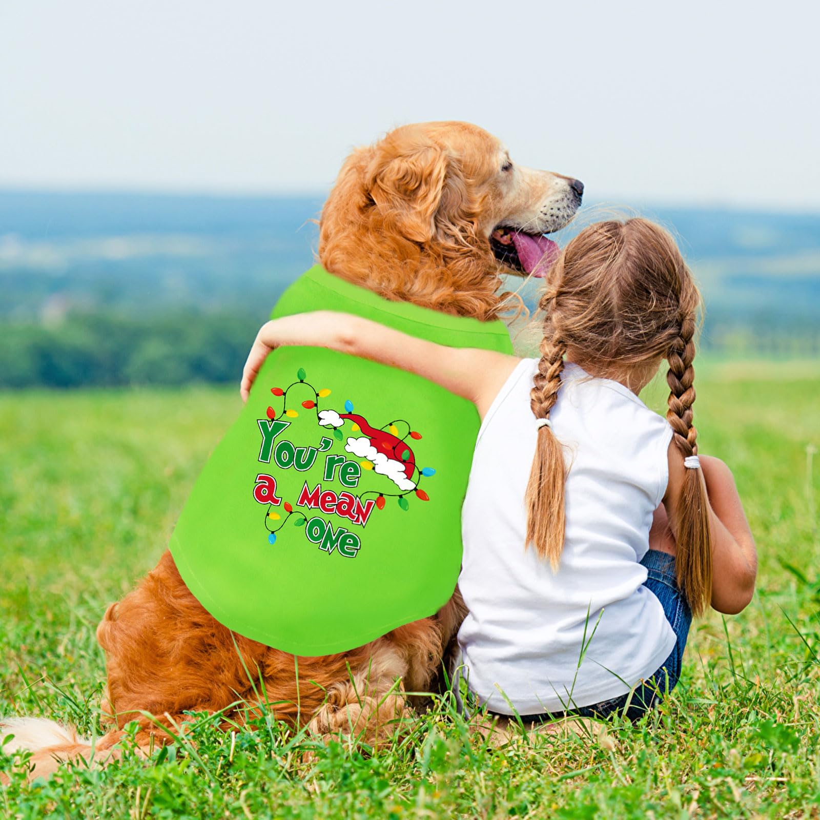 Tsorode christmas dog shirt with red and green accents for holiday photos