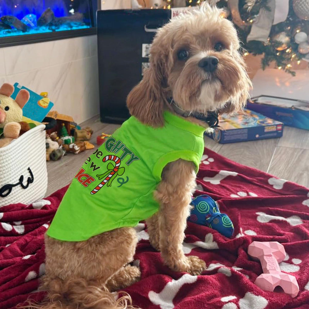 Tsorode Christmas pet shirt for dogs and cats highlighting holiday matching outfits