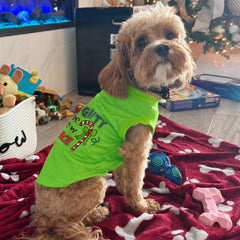 Tsorode Christmas pet shirt for dogs and cats highlighting holiday matching outfits