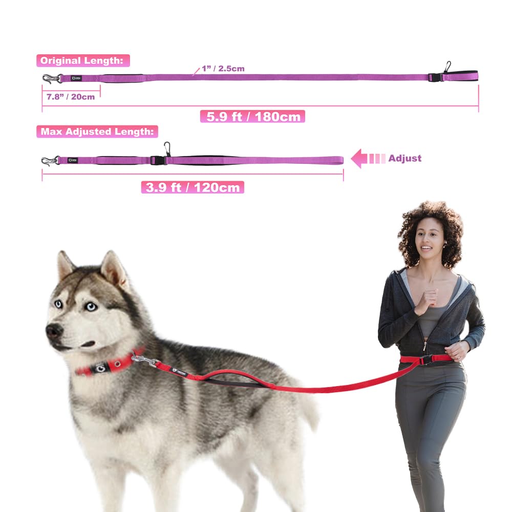 TSPRO 3-in-1 tactical dog leash supports walking running and training