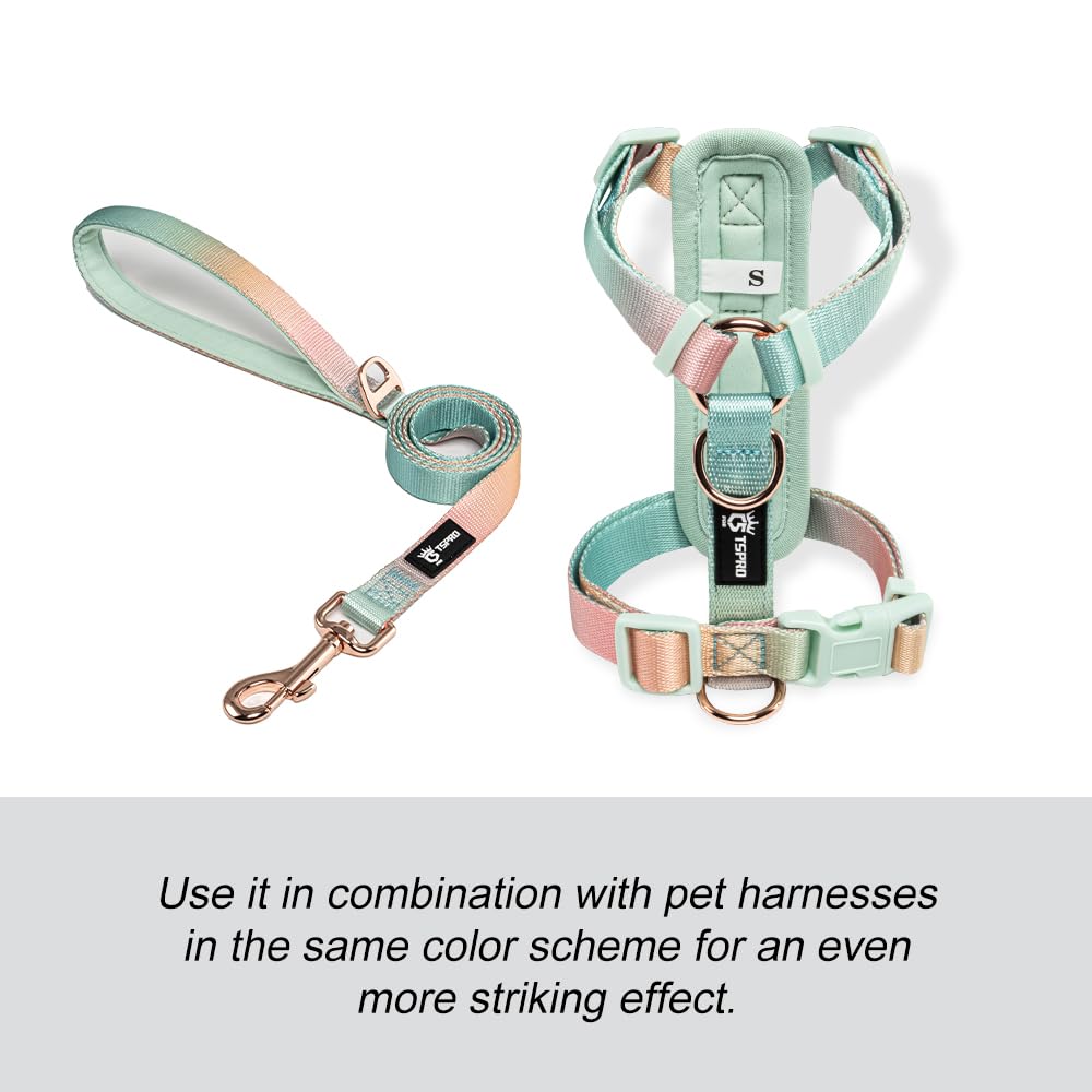 Tspro durable polyester leash provides lasting performance through everyday use.