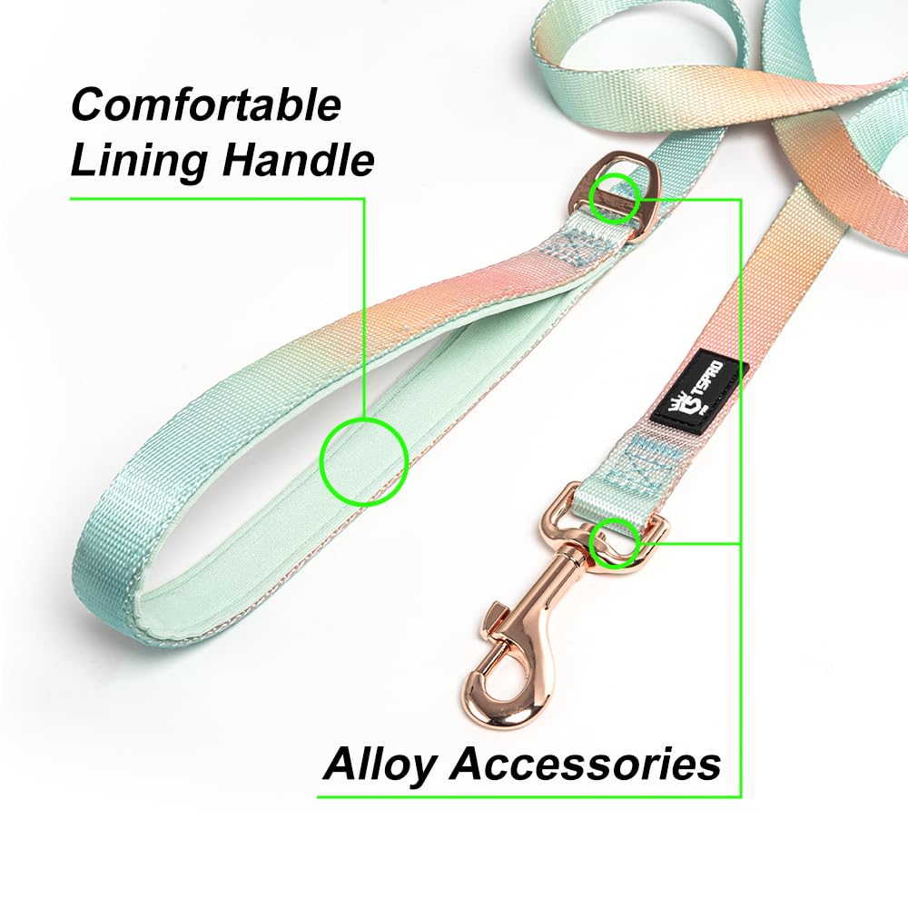 Tspro gradient color leash highlights padded handle for comfortable walking.