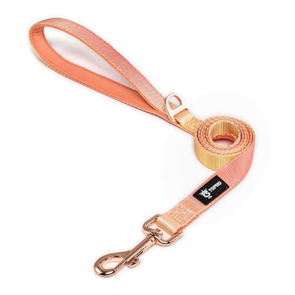 Tspro lightweight dog leash with orange-yellow gradient for daily visibility.