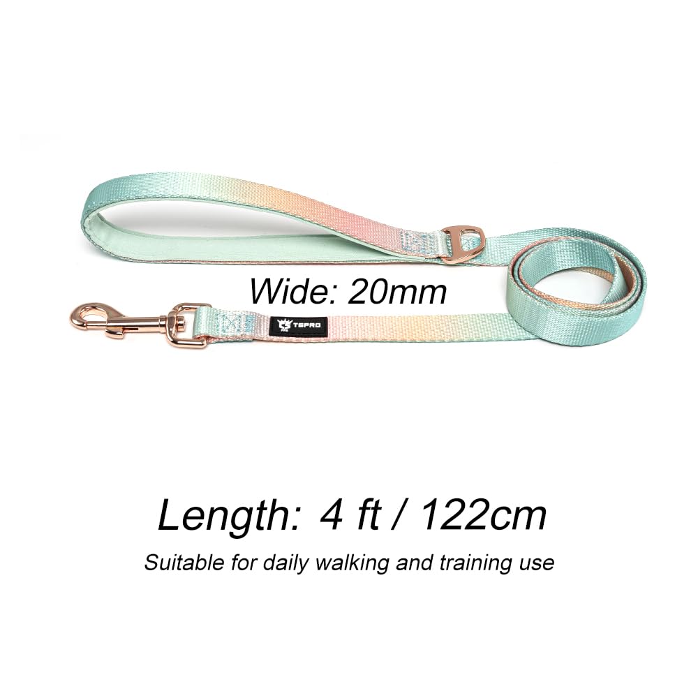 Tspro leash sized for small to medium dogs for controlled, confident walks.