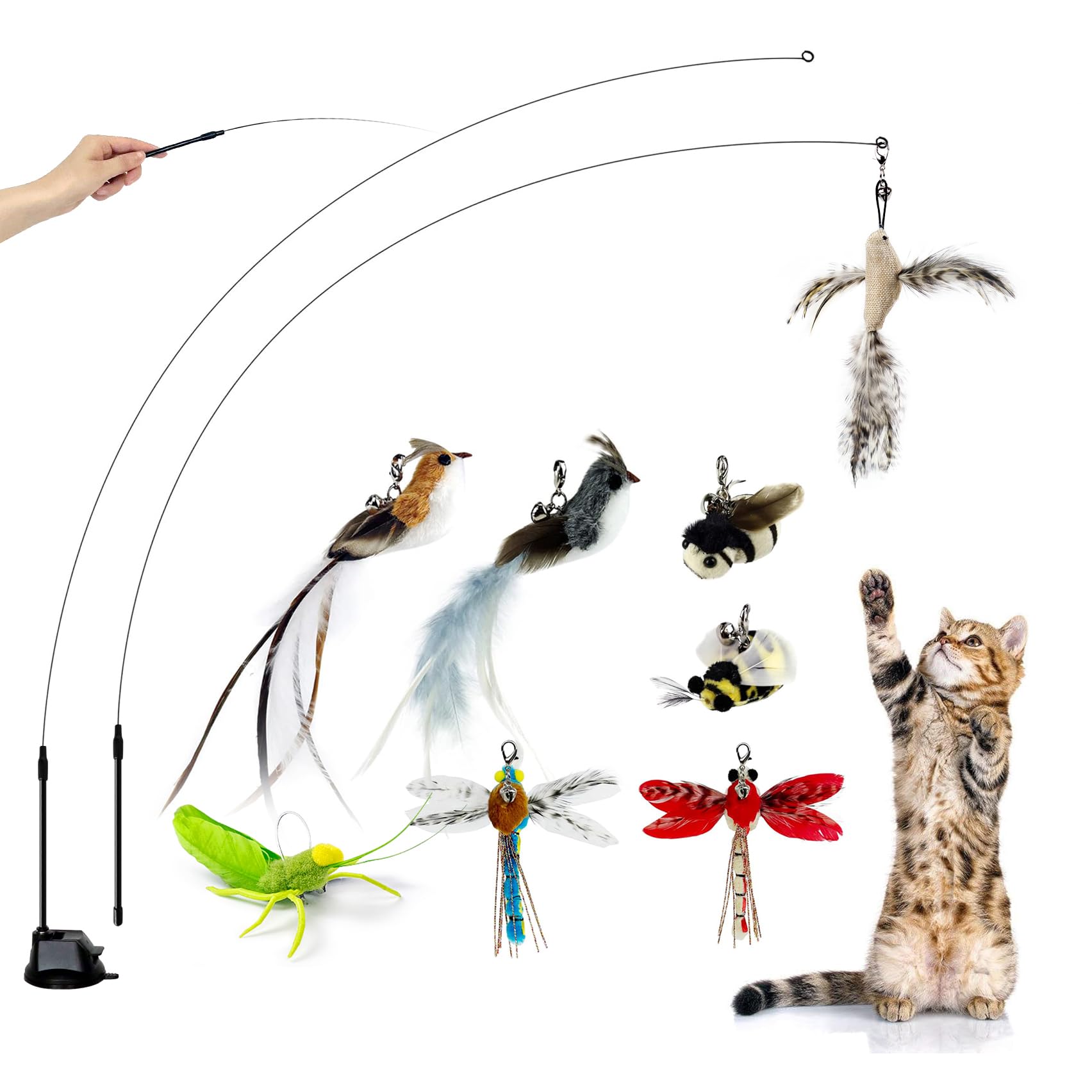 TTcat cat-feather-toys suction-cup window setup for interactive play and exercise.