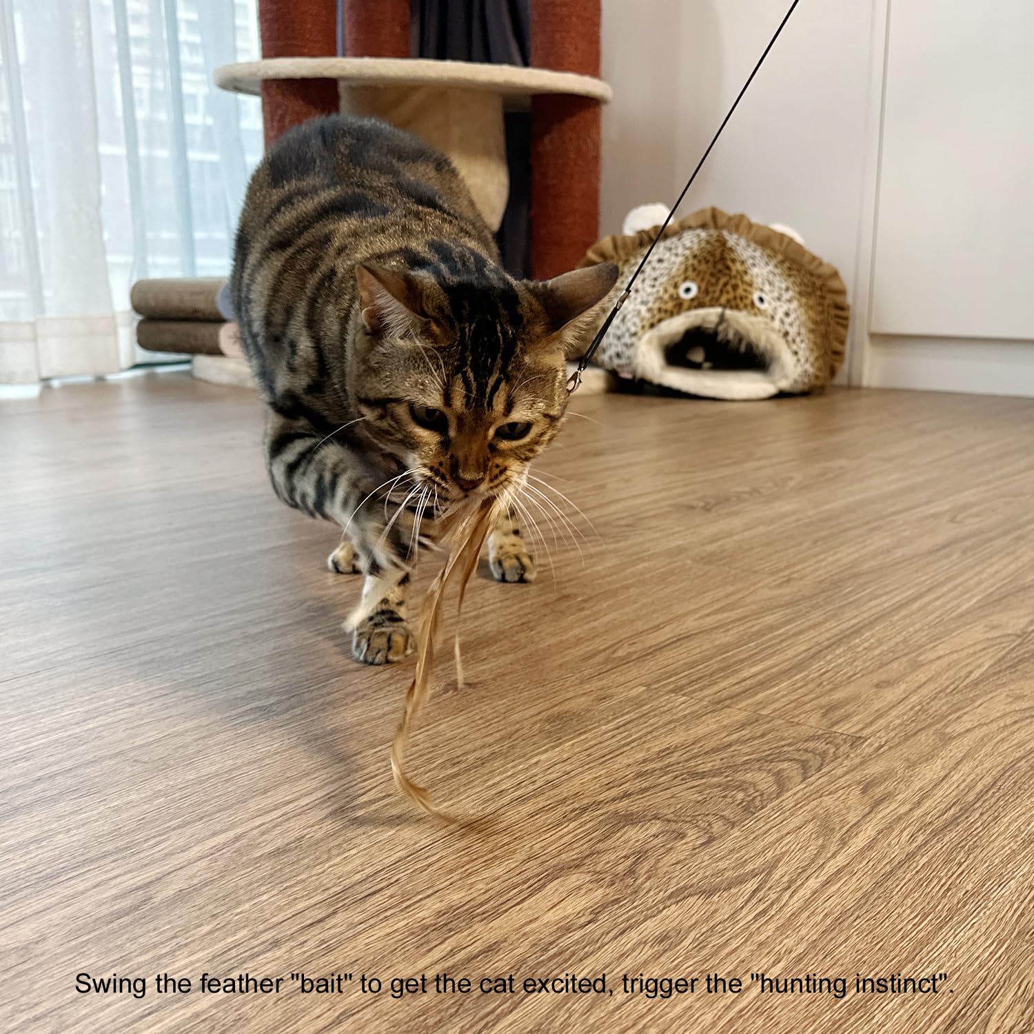 TTcat Cat Feather Wand Toy includes four refills for variety and longevity.