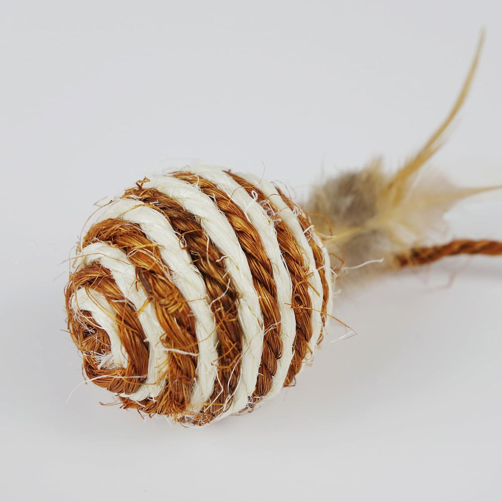 TTcat cat-playing scene shows interactive fun for kittens and adults.