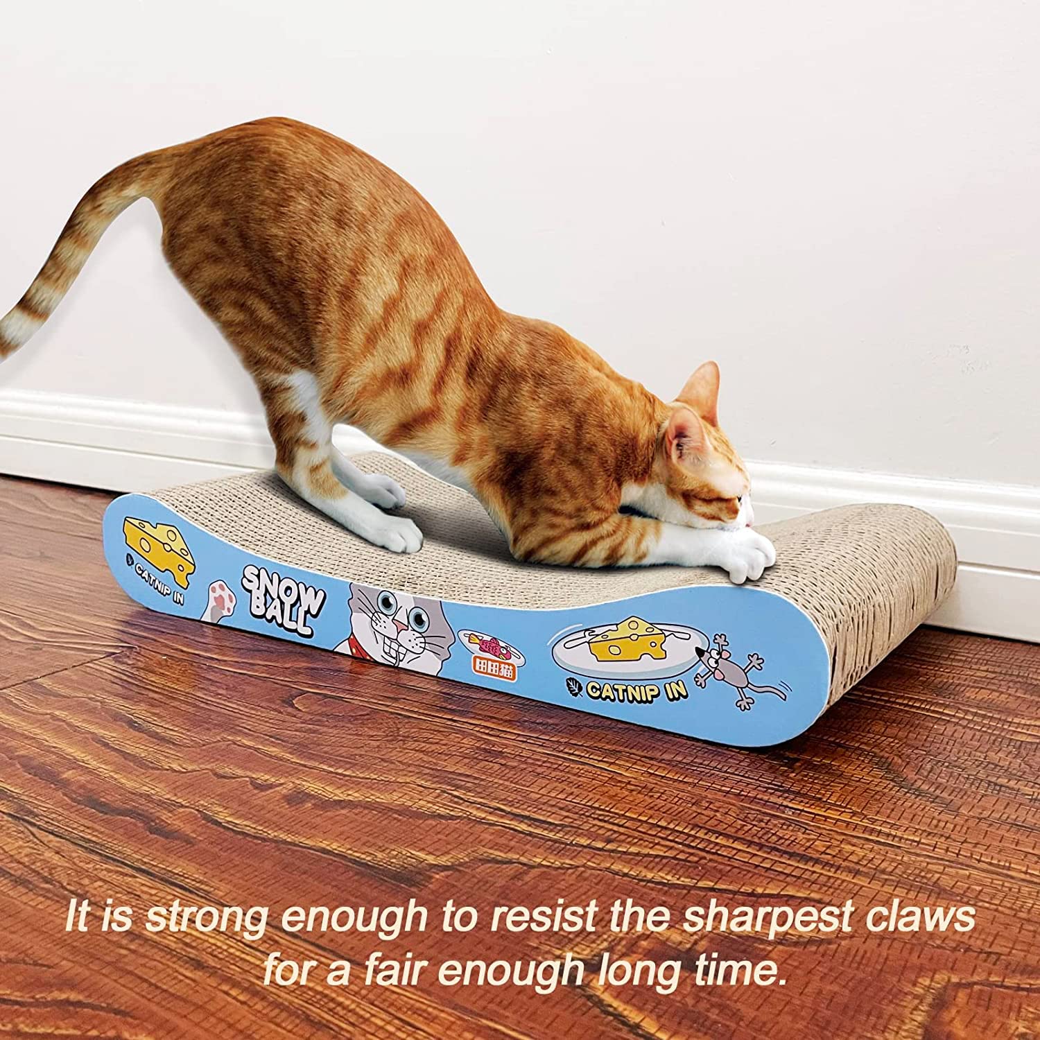 TTcat setup demonstrates practical placement on floor near furniture.