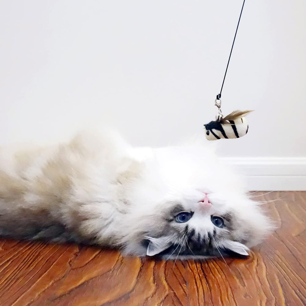 TTcat refill-pack enables easy replacement to keep wand toy fresh.