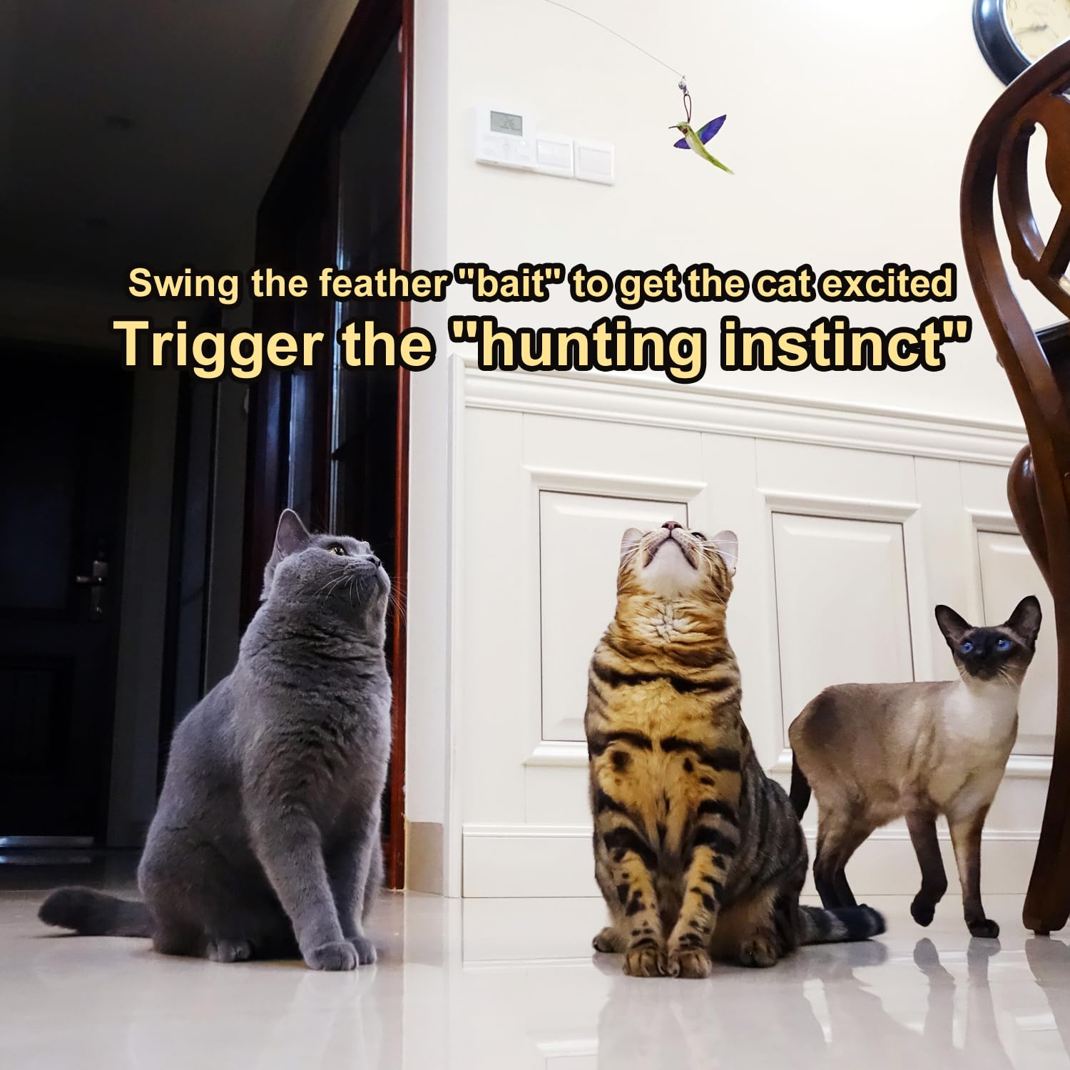 TTcat cat wand attachments feather refills spark active play and exercise routines.