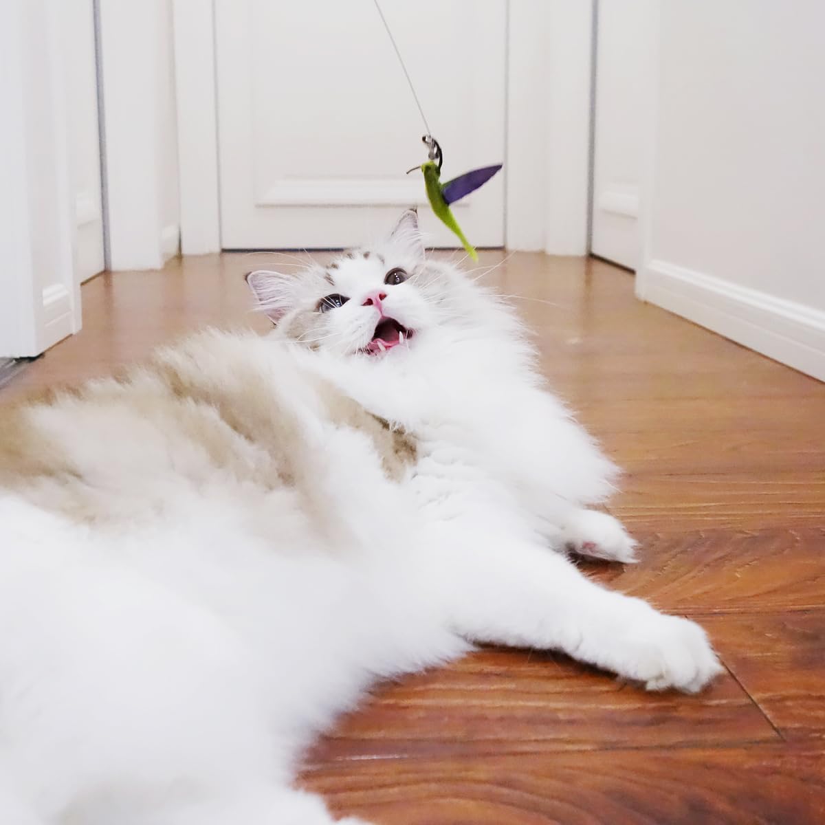 TTcat cat wand attachments hummingbird movement excites cats for indoor hunting fun.