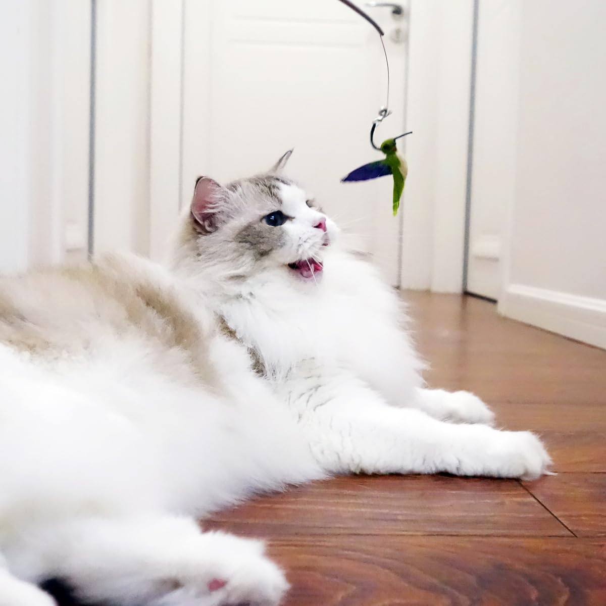 TTcat cat wand attachments insect movement refills invites agile play and exploration.